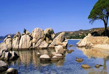 一场备受瞩目的足球盛宴即将在球场上演