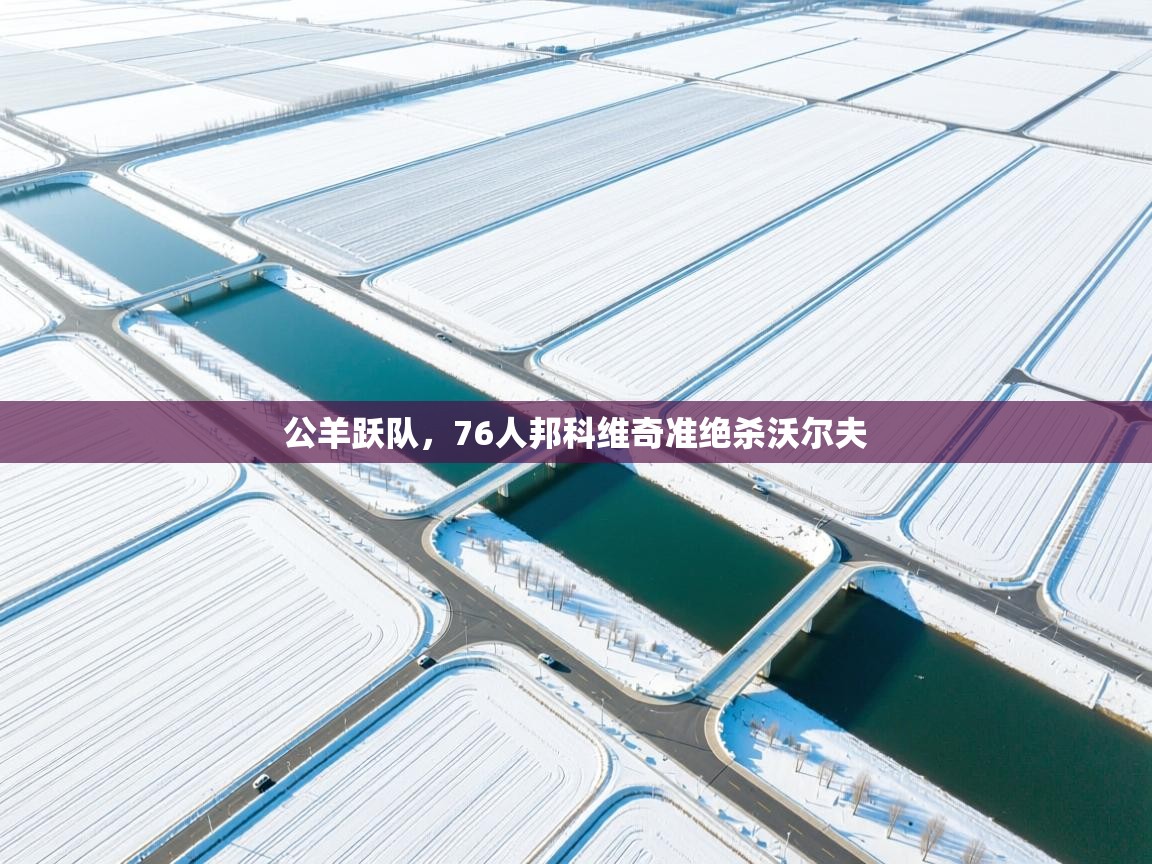 公羊跃队，76人邦科维奇准绝杀沃尔夫