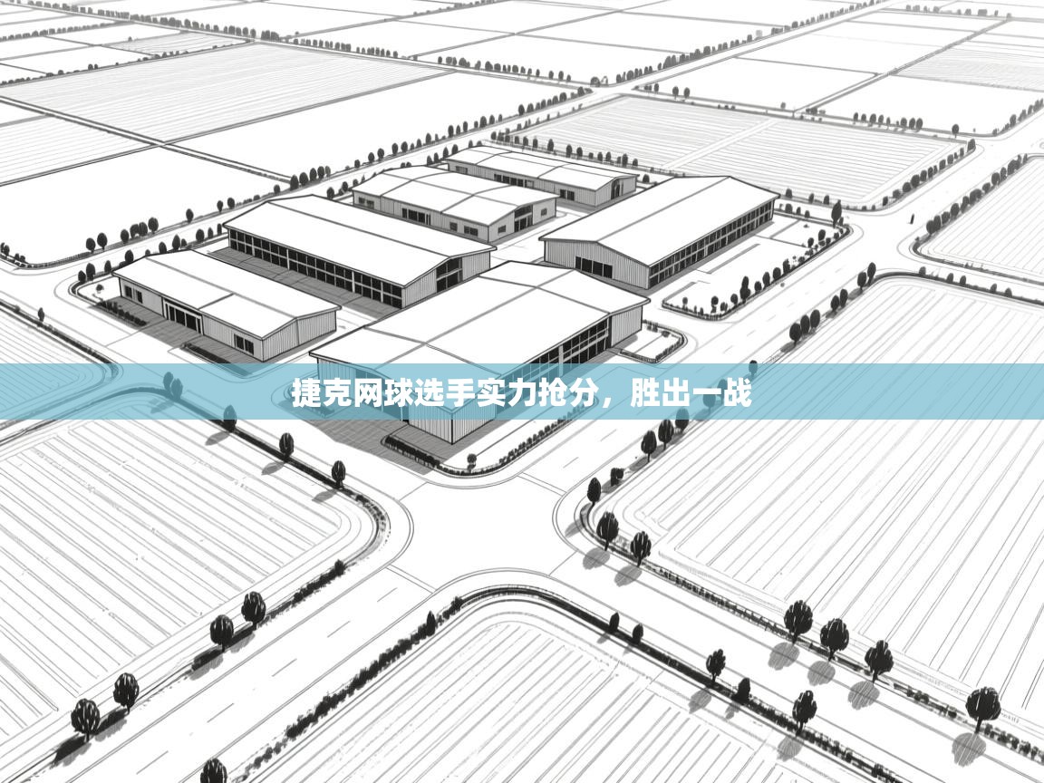 捷克网球选手实力抢分,胜出一战 第2张