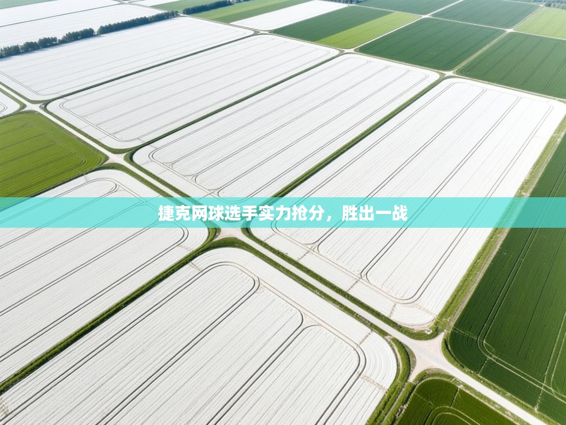 捷克网球选手实力抢分,胜出一战 第1张