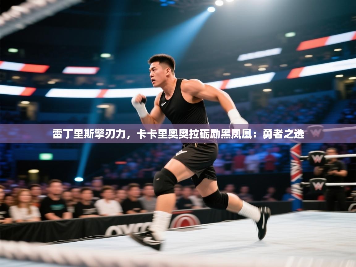 雷丁里斯擎刃力，卡卡里奥奥拉砺励黑凤凰：勇者之选  第2张