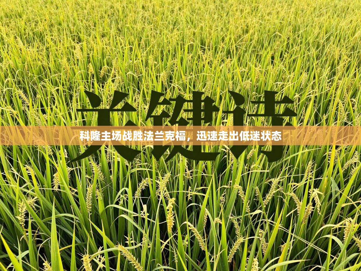 科隆主场战胜法兰克福，迅速走出低迷状态  第2张