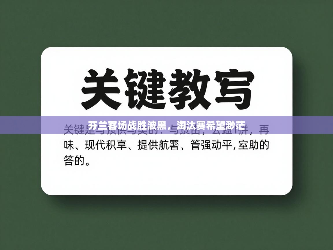 芬兰客场战胜波黑，淘汰赛希望渺茫