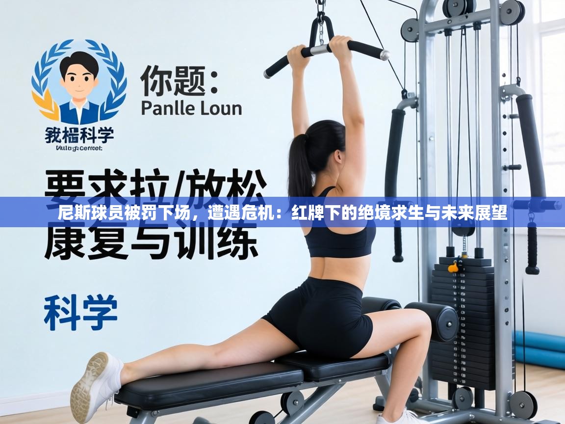 尼斯球员被罚下场,遭遇危机:红牌下的绝境求生与未来展望 第2张